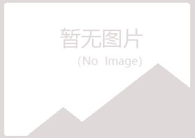 日照岚山夏槐水泥有限公司